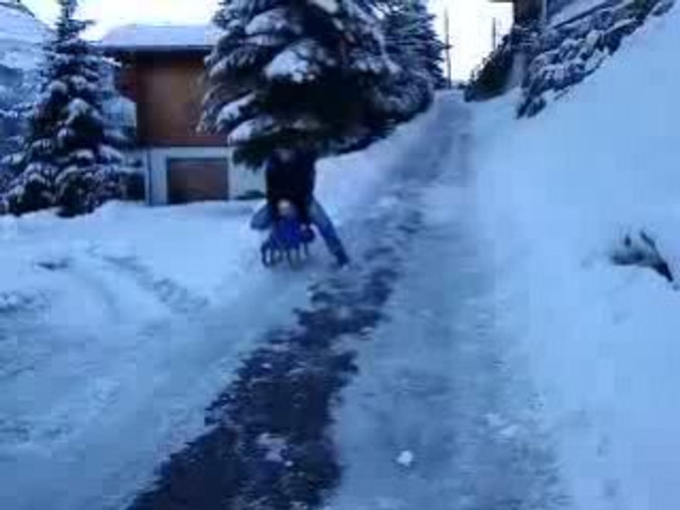 MOV02190 - luge