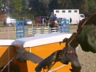 Vitesse 1m05 dimanche