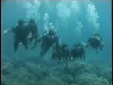 Plongée sous-marine à l'île Maurice