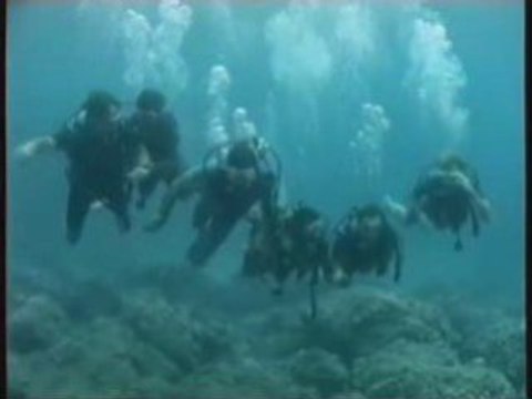 Plongée sous-marine à l'île Maurice