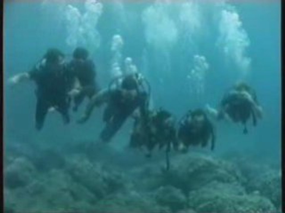 Plongée sous-marine à l'île Maurice