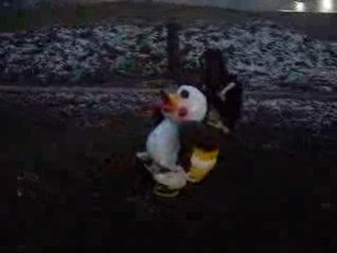 Mini moi sur un canard