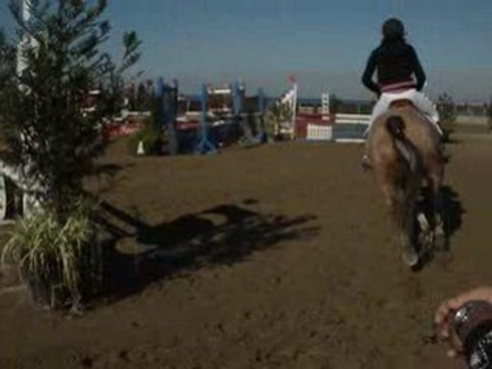 Concours d'obstacle