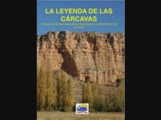 Futuro Verde: entrevisa a Fidel José Fdez. 03.01.2009