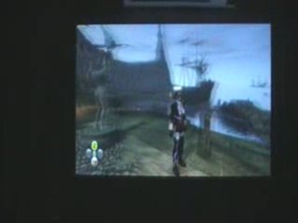 Fable2_Bug1
