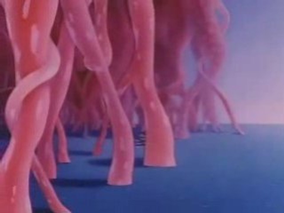 Gandahar - Berceuse pour pangolins