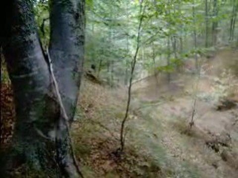 [ENDURO] ISDE 2008 Greece HUSABERG J. Ljunggren B. Carlsson