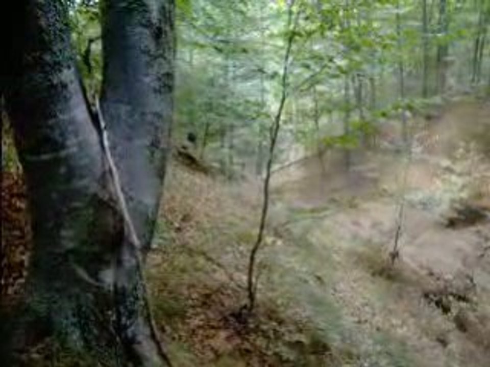 [ENDURO] ISDE 2008 Greece HUSABERG J. Ljunggren B. Carlsson