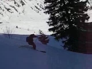 Le virage en poudreuse par Henry Kam