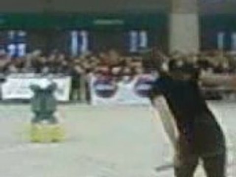 Pauline & Naïade - Salon du Cheval 2008