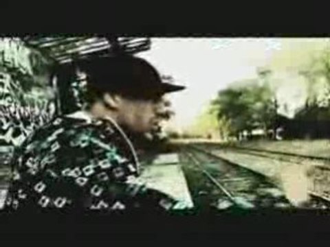 Swift Guad - Narvalo