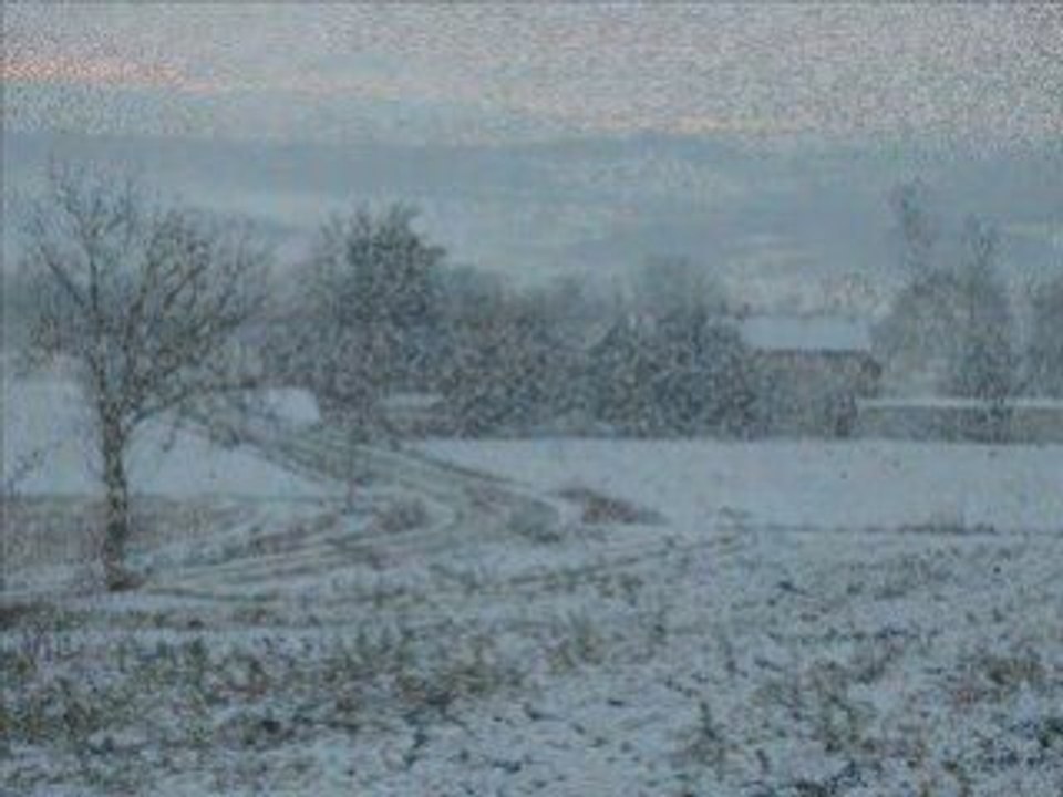 Le Bosquet_hiver_0001