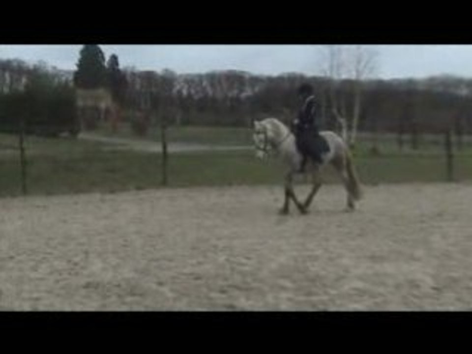 Epaule en dedans et renvers