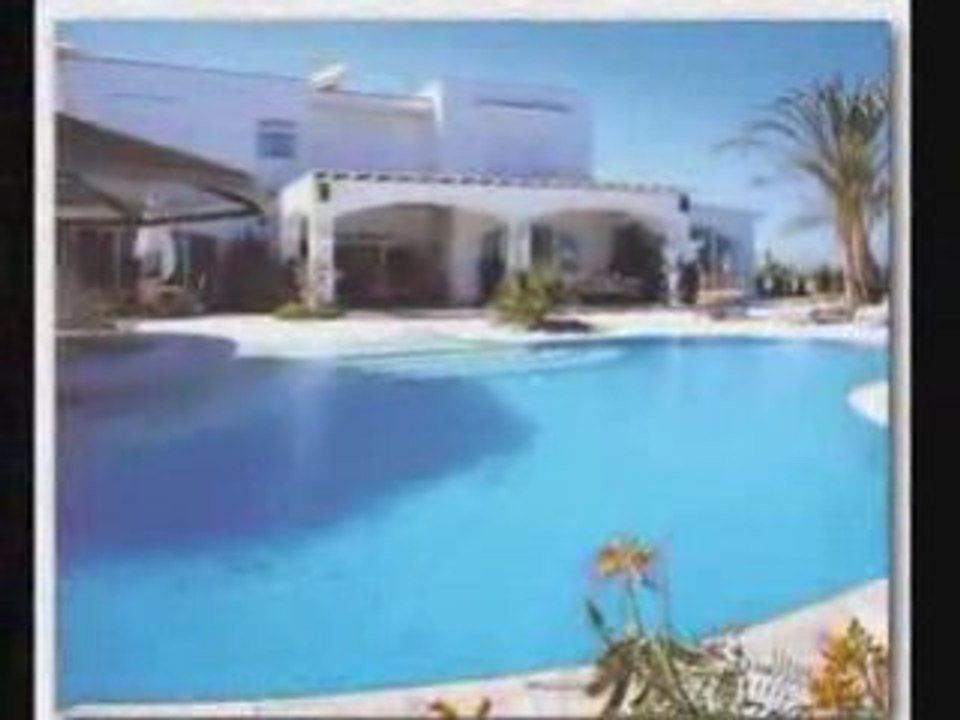 LWS Freedom scam BEATS Bush's Economic Disaster  ...