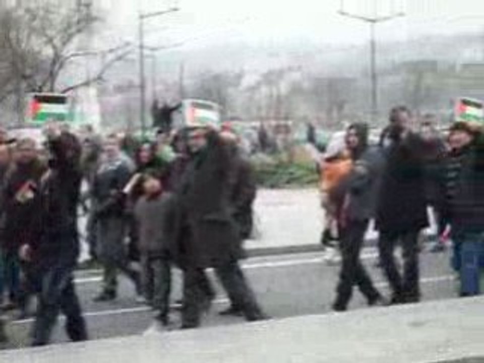 Manifestation  pour la palestine à lyon le 3 janvier 2009