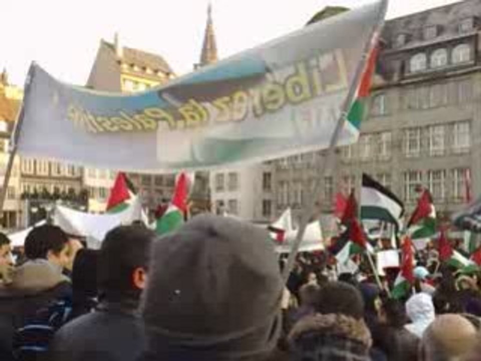 Manifestation strasbourg palestine 1