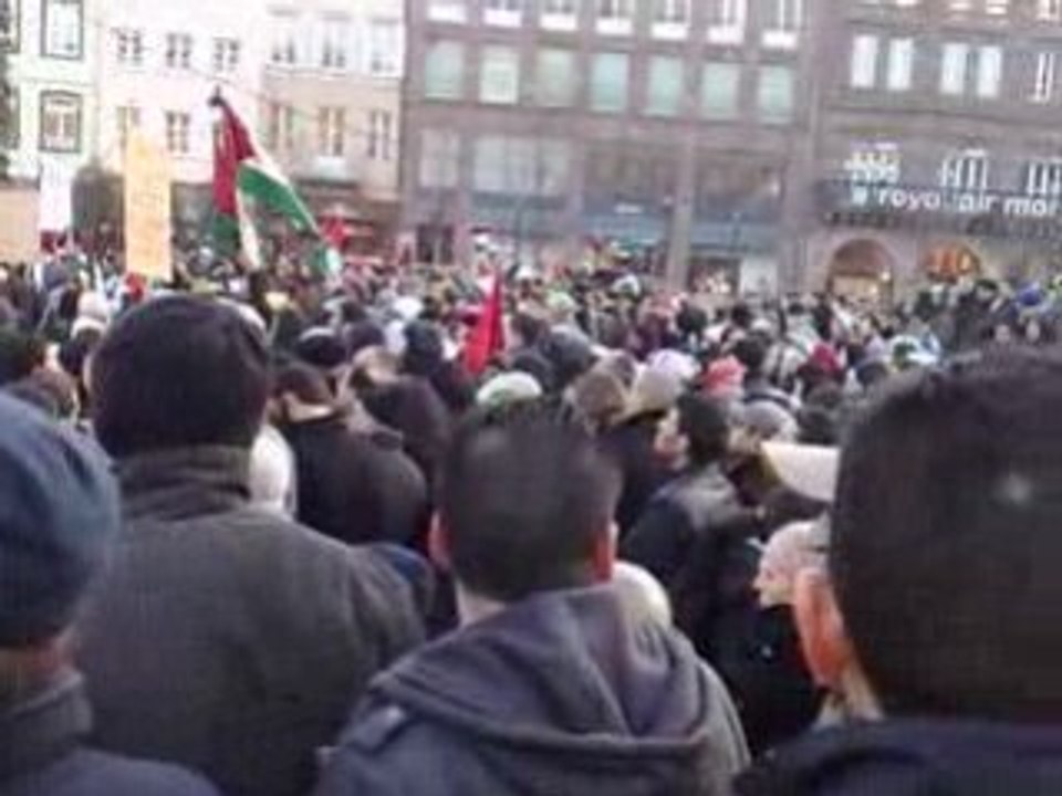 Manifestation strasbourg palestine 2
