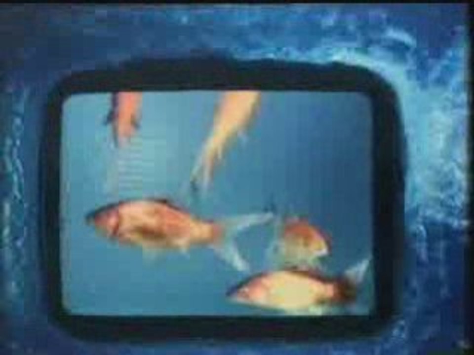 BBC1 Junction 15th May 1986