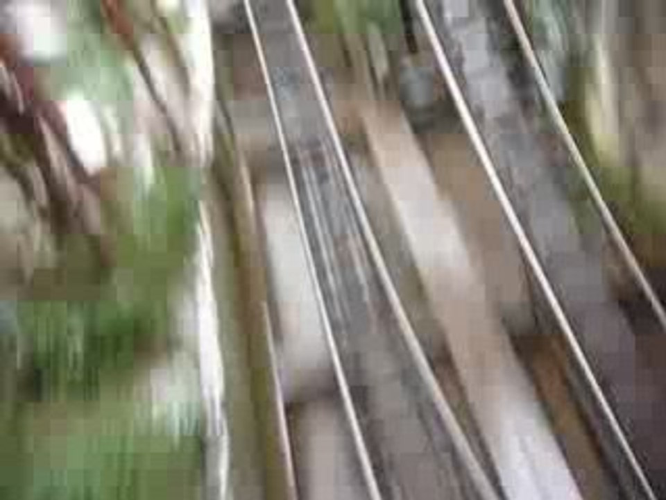 2008-12-31 (49)
