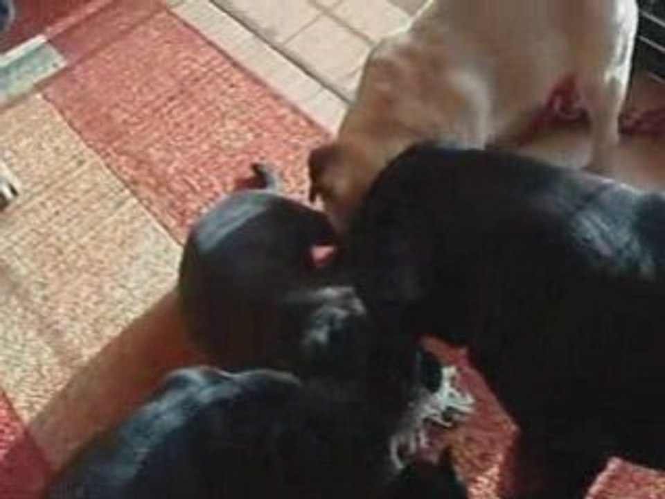 POUR TOI MAMAN