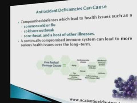 Free Acai Powder trial, Acai Powder has antioxidants