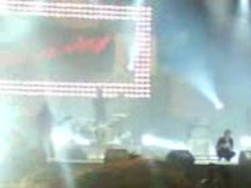 The hives aux vieilles charrues 2008