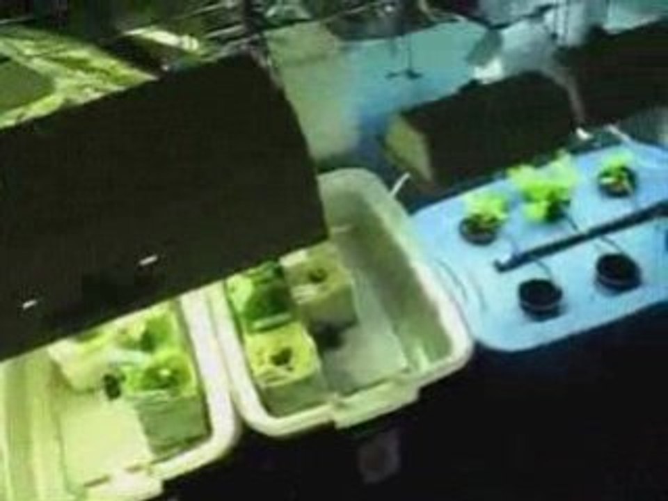 Indoor hydroponic grow up