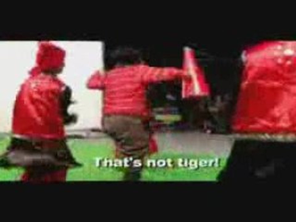 Singh Is King