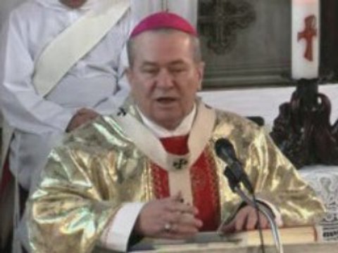 Omilie / Sfântul apostol Ioan