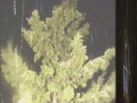 Kahramanmaraş ta Kar Yağışı