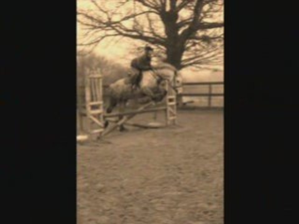 ptit parcours de CSO pégase et moi (60/7Ocm)