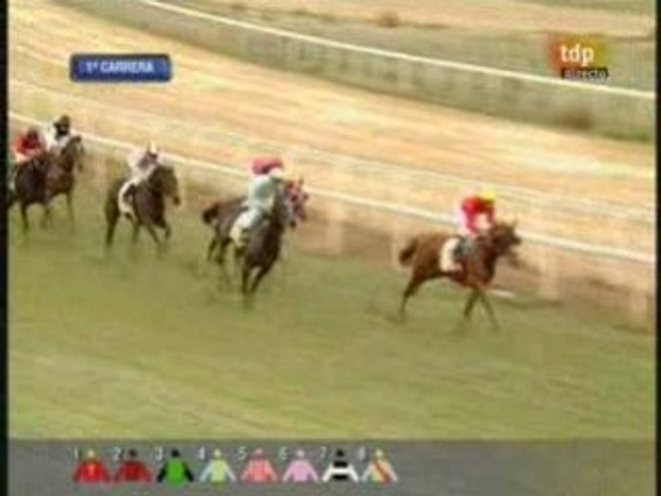 2009 (1) PREMIO M.M.A.M.R. Y M. (CATEGORIA C) (BIG BOY)