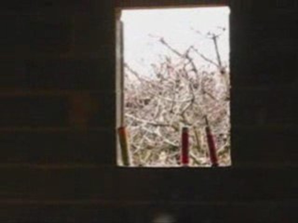 Airsoft entre potes avec du linKin parK