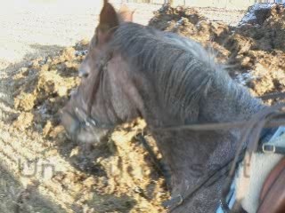 Ballade avec Justine