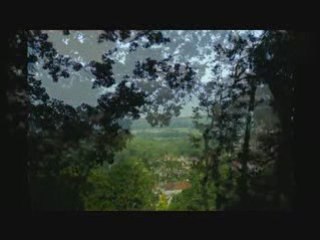 A year in view ... View in HQ