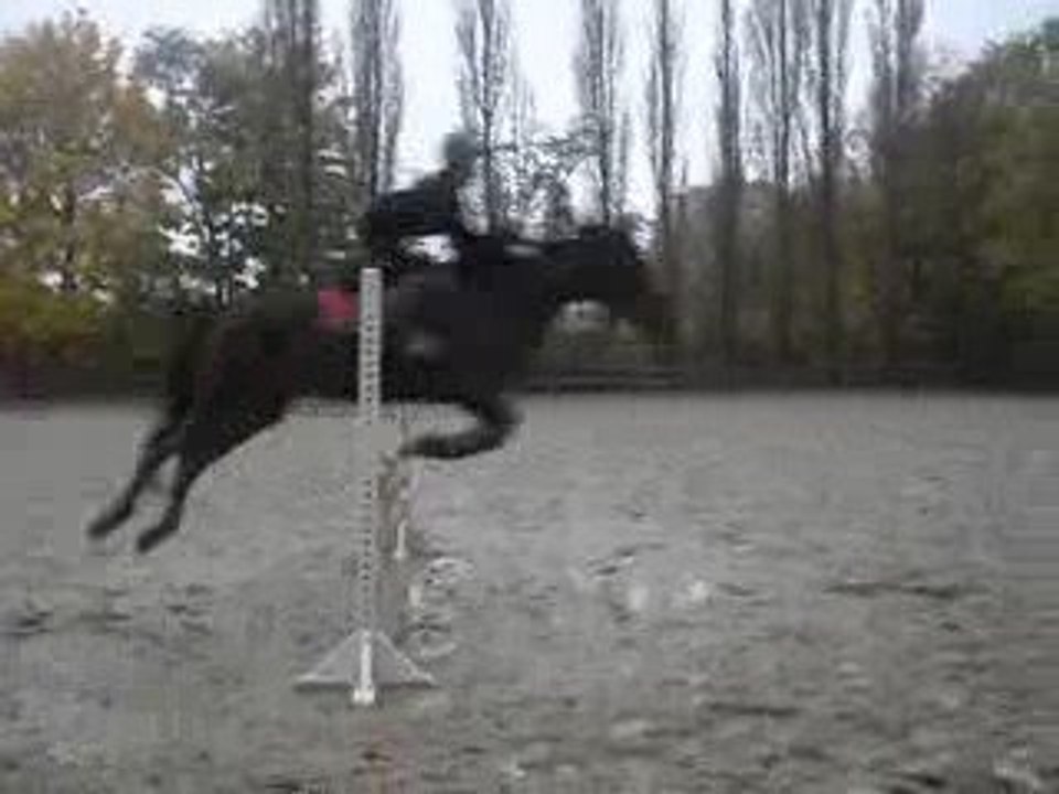 Ma petite ( L )