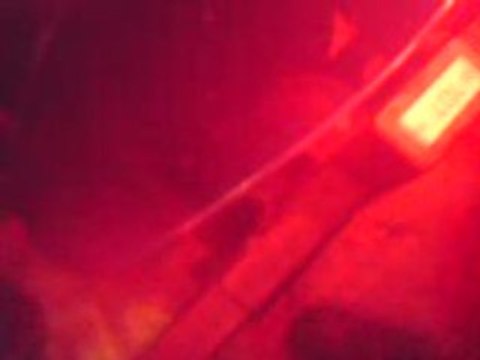 brigade paris psg-valenciennes entrée des joueurs