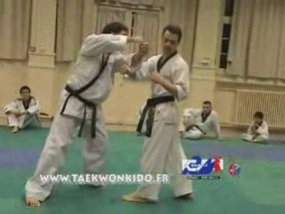 Taekwonkido_Bry et démo