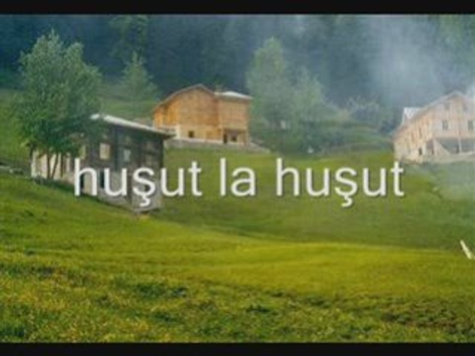 Huşut