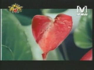 Arron Yan & Liu Li Yang - Ti Amo PV