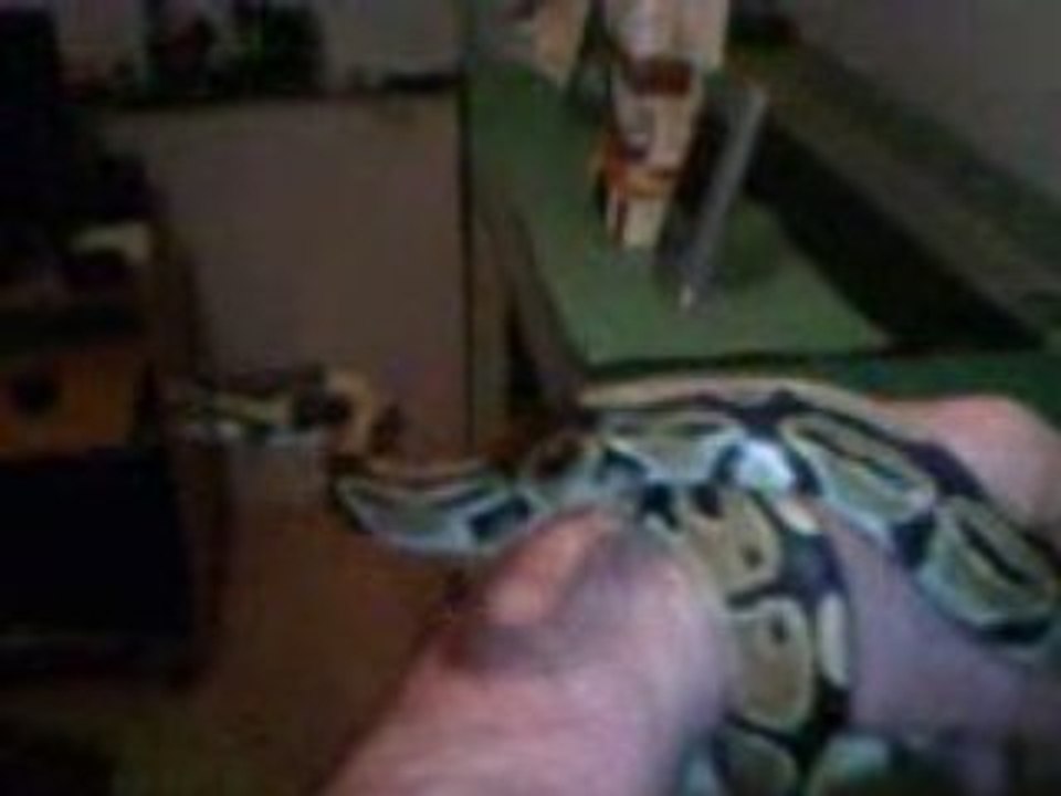 python