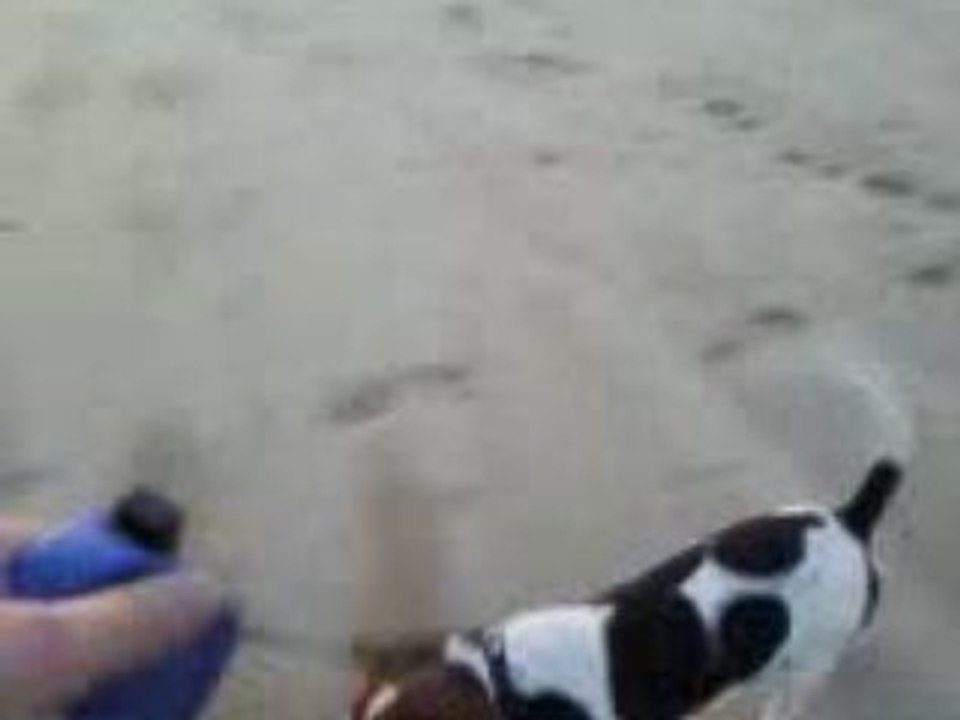 Vidéo0022