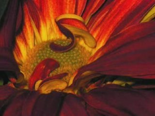 Forever '80s: Relive the Iconic Era