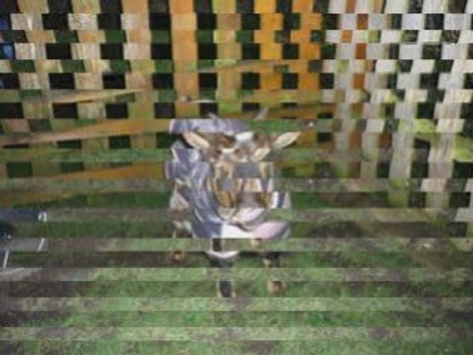 NOTRE histoir la plus belle de toute!