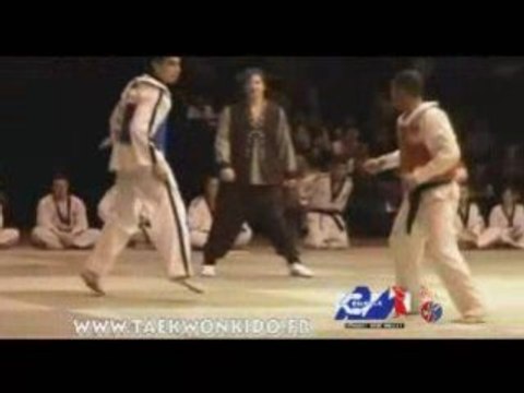 Nuit Arts Martiaux Traditionnels 2008