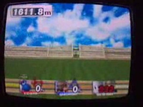 Yoshi&Ganondorf Co-op Hrc 2348.4