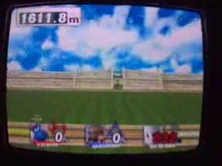 Yoshi&Ganondorf Co-op Hrc  2348.4