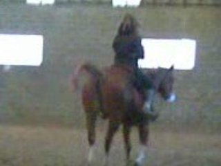 Equitation Pauline et Cixi