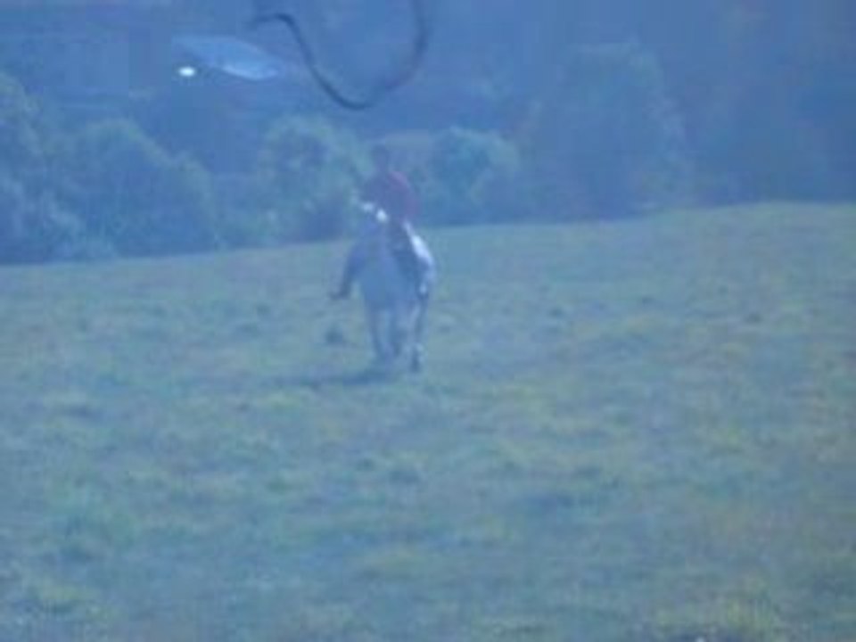 petit galop