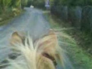 Pilou route ver moncé